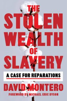 the stolen wealth of slavery (ebook)-david montero-9780306827198
