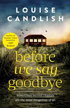before we say goodbye-9780751585698
