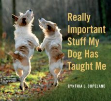 really important stuff my dog has taught me-cynthia l. copeland-9780761181798