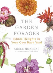 the garden forager-adele nozedar-9781448191598