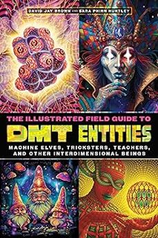 the illustrated field guide to dmt entities: machine elves, tricksters, teachers, and other interdimensional beings-david jay brown-sara phinn huntley-9781644119198