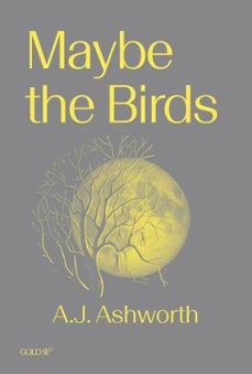 maybe the birds (ebook)-a. j. ashworth-9781915983398