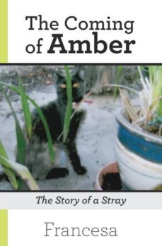 the coming of amber-9781925590098
