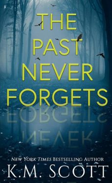 the past never forgets (ebook)-k.m. scott-9781947705098