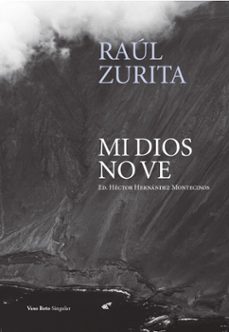 mi dios no ve (ebook)-raul zurita-9788419693198