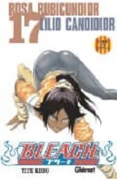 bleach nº 17 (edicio en catala)-9788483574898