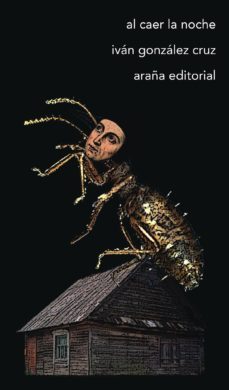 al caer la noche (ebook)-ivan gonzalez cruz-9788494203398