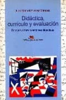 didactica, curriculo y evaluacion, ensayos sobre cuestiones didac ticas-9788495294098