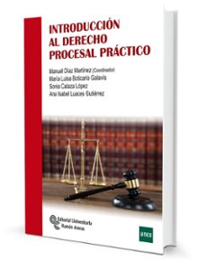 introduccion al derecho procesal practico-9788499614298