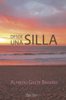 desde una silla (ebook)-alfredo gaete briseño-9789566039198