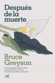 despues de la muerte-bruce greyson-9789585309098