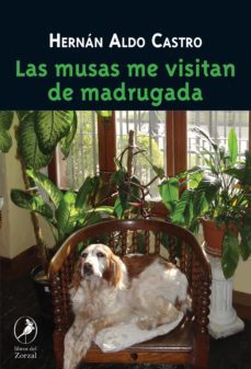 las musas me visitan de madrugada (ebook)-hernan aldo castro-9789875993198