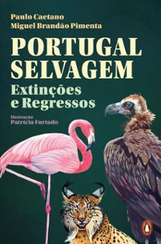 -paulo caetano-miguel brandão pimenta-9789895964598