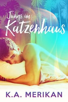jungs im katzenhaus (ebook)-k.a. merikan-9798233113598