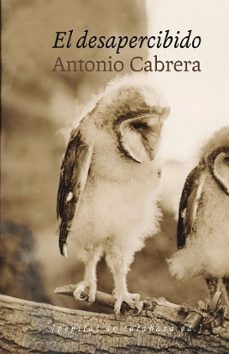 -antonio cabrera serrano-mkt0007753598