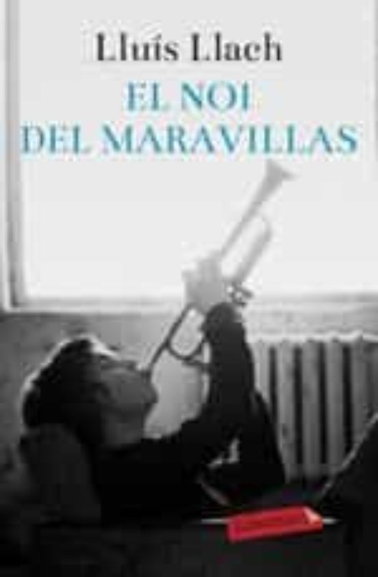 EL NOI DEL MARAVILLAS