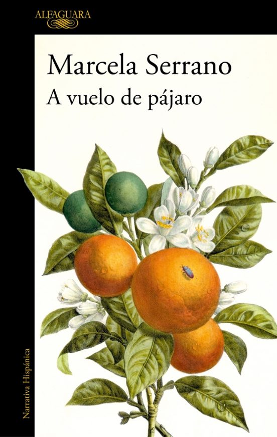 Portada de A Vuelo De Pájaro
