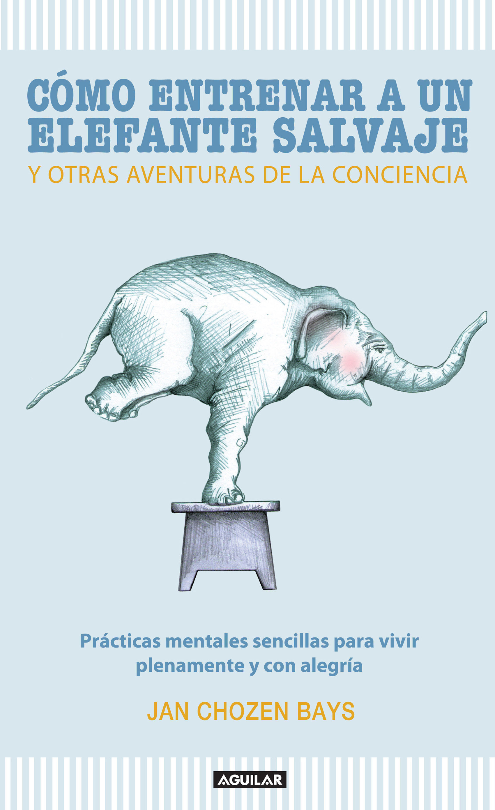 Cómo Entrenar A Un Elefante Salvaje Y Otras Aventuras De La Conciencia por Jan Chozen Bay