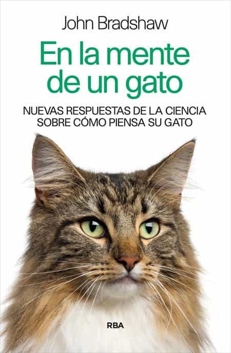 Resultado de imagen para en la mente de un gato