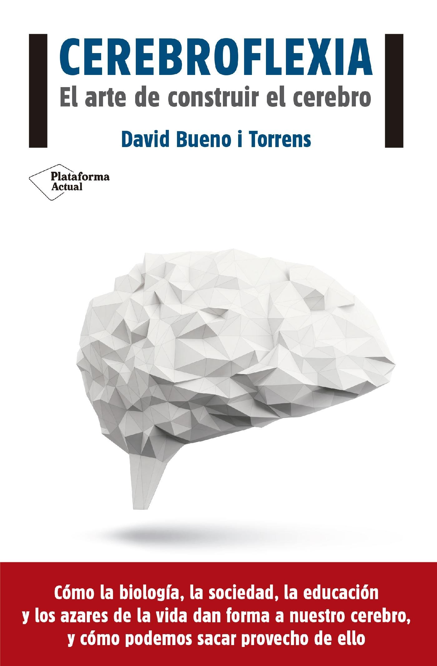 Cerebroflexia por David Bueno I Torrens