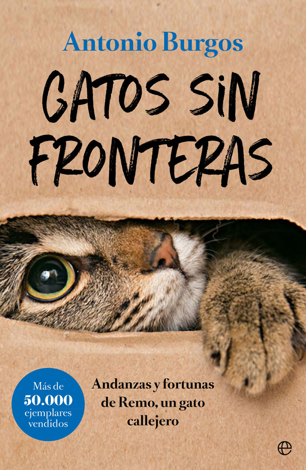 Gatos Sin Fronteras: Andanzas Y Fortunas De Remo, Un Gato Calleje Ro por Antonio Burgos