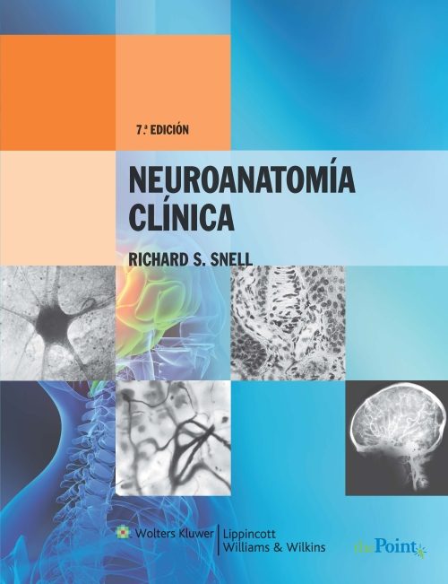 Neuroanatomía Clínica 7ª Edición Revisada por Vv.aa.