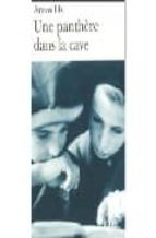 une panthere dans la cave-amos oz-9782070427918 une panthere dans la cave-amos oz-9782070427918