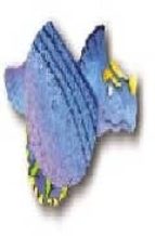 Zippy triceratops MOBI TORRENT por Vv.aa.