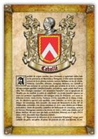 apellido caballé / origen, historia y heráldica de los linajes y apellidos españoles e hispanoamericanos (ebook)-antonio tapia-cdlhf00012858 apellido caballé / origen, historia y heráldica de los linajes y apellidos españoles e hispanoamericanos (ebook)-antonio tapia-cdlhf00012858