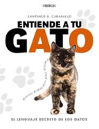 La Biblia de los Gatos: ¿Comprendes su lenguaje? Descubre cómo comunicarte  con tu felino eBook : @Gatitodedama, Por: : Libros