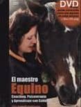 maestro equino: coaching, psicoterapia y aprendizaje con caballos-talia soldevila nightingale-8430526116008 maestro equino: coaching, psicoterapia y aprendizaje con caballos-talia soldevila nightingale-8430526116008
