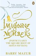 Imagining Numbers-2074760-otro-formato