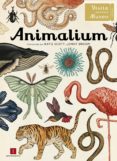 animalium-jenny broom-9781783700608 animalium-jenny broom-9781783700608