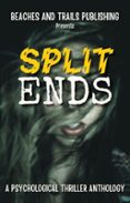 SPLIT ENDS: A PSYCHOLOGICAL THRILLER ANTHOLOGY