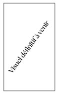 LES MANUSCRITS PERDUS