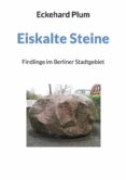 Libro gratis en descargas de cd EISKALTE STEINE (Spanish Edition) ePub