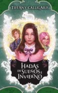 Hadas de sueños e invierno-13053590-otro-formato