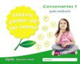 nuevo jardín de las letras educacion infantil 5 años consonantes 1 pauta mec-maria dolores campuzano valiente-9788490677308 nuevo jardín de las letras educacion infantil 5 años consonantes 1 pauta mec-maria dolores campuzano valiente-9788490677308
