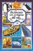 diccionario por imagenes del mar-m.r. pimont-9782215066118 diccionario por imagenes del mar-m.r. pimont-9782215066118
