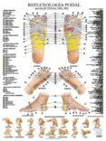 lamina de reflexologia podal-9788416972418 lamina de reflexologia podal-9788416972418