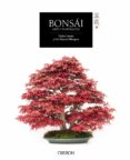 bonsai: arte y naturaleza (libros singulares)-carlos lazaro-jose manuel blazquez-9788441537118 bonsai: arte y naturaleza (libros singulares)-carlos lazaro-jose manuel blazquez-9788441537118
