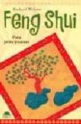 feng shui: introduccion a la tradicion y sus beneficios-richard webster-9788489920118 feng shui: introduccion a la tradicion y sus beneficios-richard webster-9788489920118