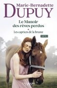 LE MANOIR DES RÊVES PERDUS, TOME 1 - LES CAPRICES DE LA BRUME - PARTIE 2