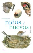 nidos y huevos (naturaleza - aves)-9788430552528 nidos y huevos (naturaleza - aves)-9788430552528