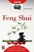 FENG SHUI-2347393-otro-formato