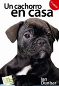 un cachorro en casa: ¡no hay tiempo que perder!: etapas criticas en el desarrollo en el aprendizaje (2ª ed.)-ian dunbar-9788493460938 un cachorro en casa: ¡no hay tiempo que perder!: etapas criticas en el desarrollo en el aprendizaje (2ª ed.)-ian dunbar-9788493460938