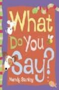 what do you say?-mandy stanley-9780007146048 what do you say?-mandy stanley-9780007146048