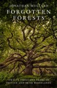 FORGOTTEN FORESTS-17514371-otro-formato