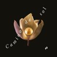 Camino del sol-15938261-otro-formato