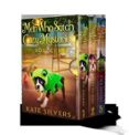 MEN WHO STITCH COZY MYSTERIES BOX SET 1